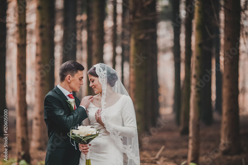 Obraz na płótnie young family, the wedding, the newlyweds. Bride and groom walk around the trees in an autumn forest w salonie