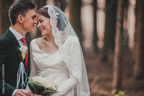 Obraz na płótnie young family, the wedding, the newlyweds. Bride and groom walk around the trees in an autumn forest w salonie