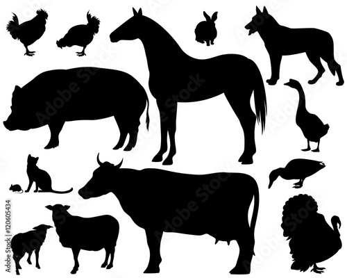 farm animals silhouette set