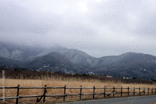 Meadow and mountains