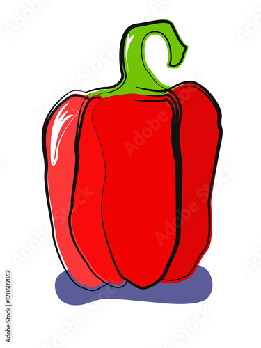 Vector paprika on white background. Sweet red pepper. Cooking vector element.