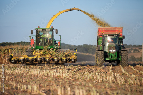 Tableau sur toile Récolte du maïs en France
