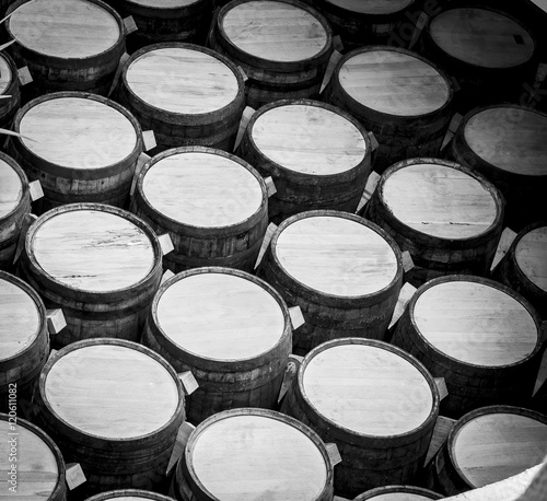 Wine barrels photo