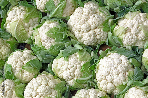 Background with stack of Cauliflower photo