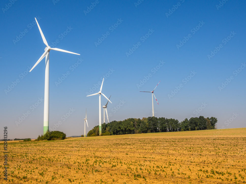 Windpark Windpark