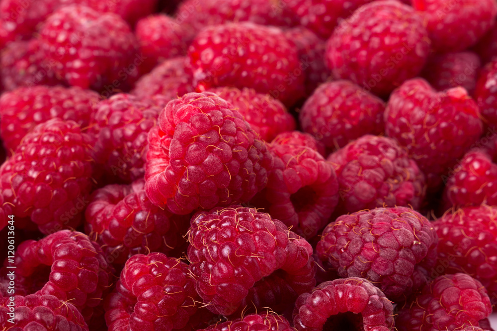 red raspberry as a background close up red raspberry as a background close up
