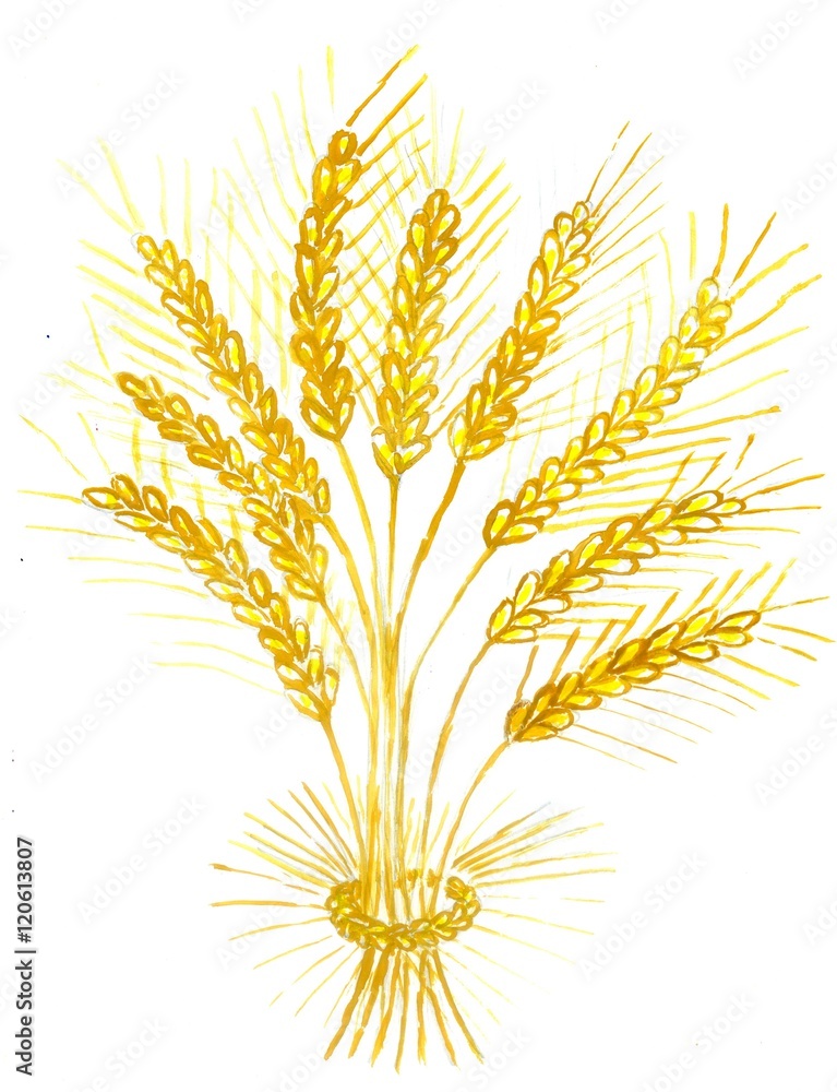 Ears of Wheat Art Ears of Wheat Art