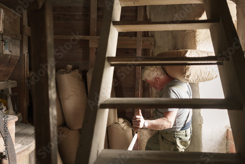 Senior miller carrying flour bags on his back through windmill