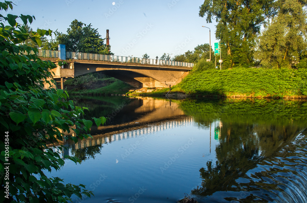 Fototapeta premium Rzeka Wisła pośród zieleni