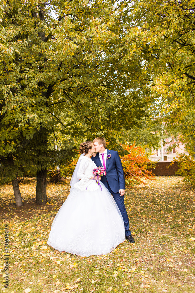 autumn wedding in the park, bride and groom autumn wedding in the park, bride and groom