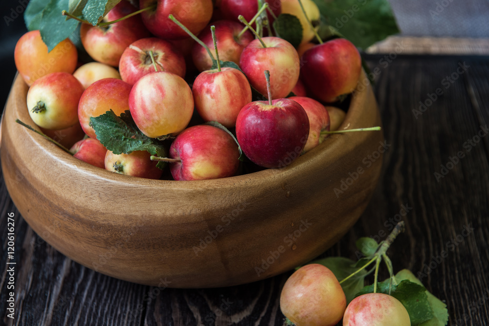 Fresh harvest of apples Fresh harvest of apples
