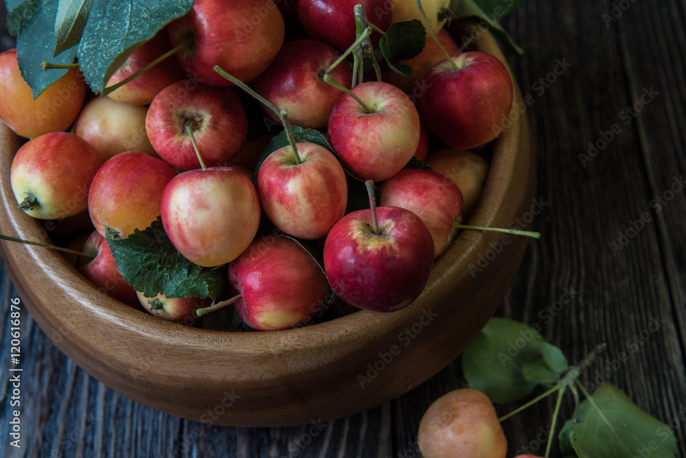 Fresh harvest of apples Fresh harvest of apples
