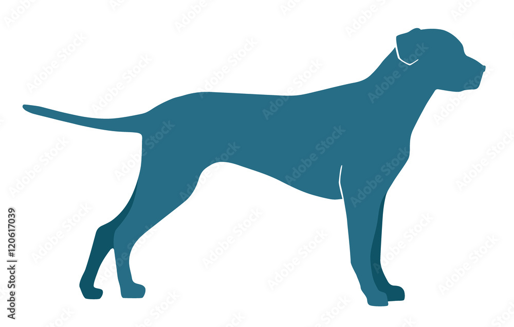 dog silhouette on a white background