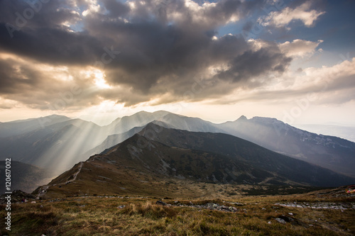 Fototapeta Naklejka Na Ścianę i Meble -  Słońca blask