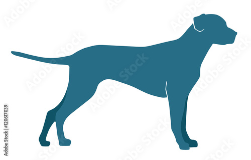 dog silhouette on a white background