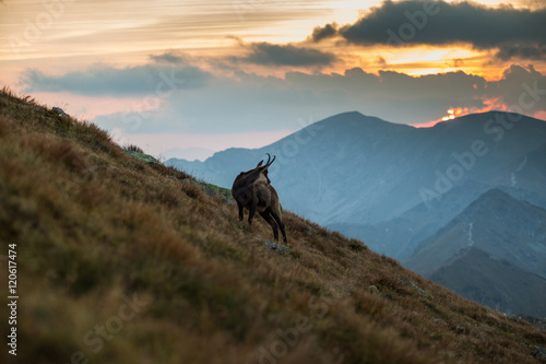 Fototapeta Naklejka Na Ścianę i Meble -  O zachodzie słońca