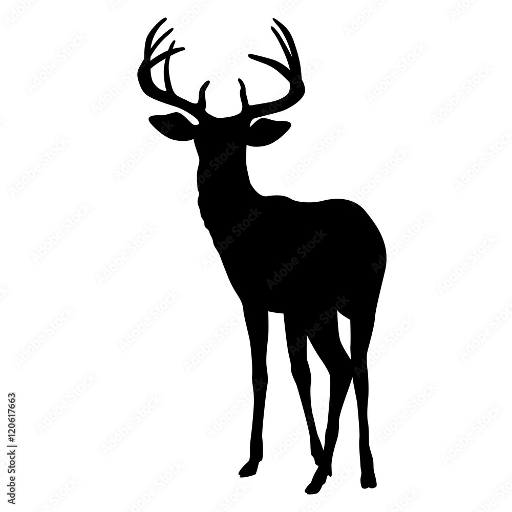 Obraz premium deer vector illustration silhouette black front