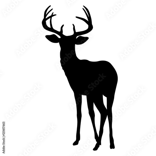  deer vector illustration silhouette black front
