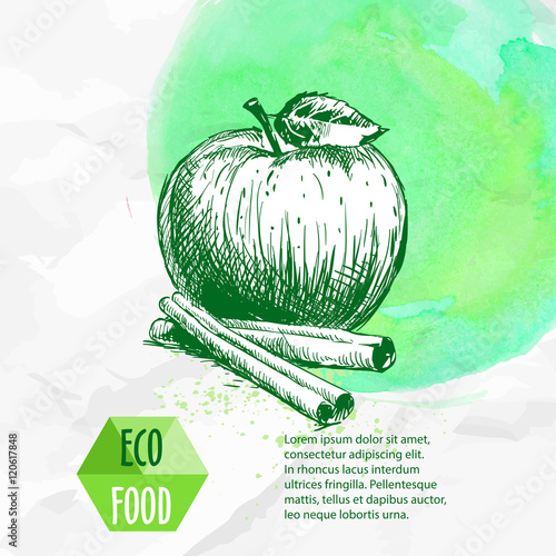 Hand drawn apple with cinnamon sticks. Sketch style organic fruit illustration on green watercolor background. Eco food vector.