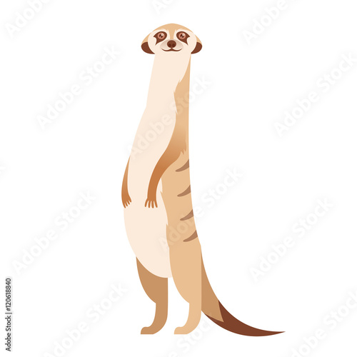 Cartoon happy meerkat