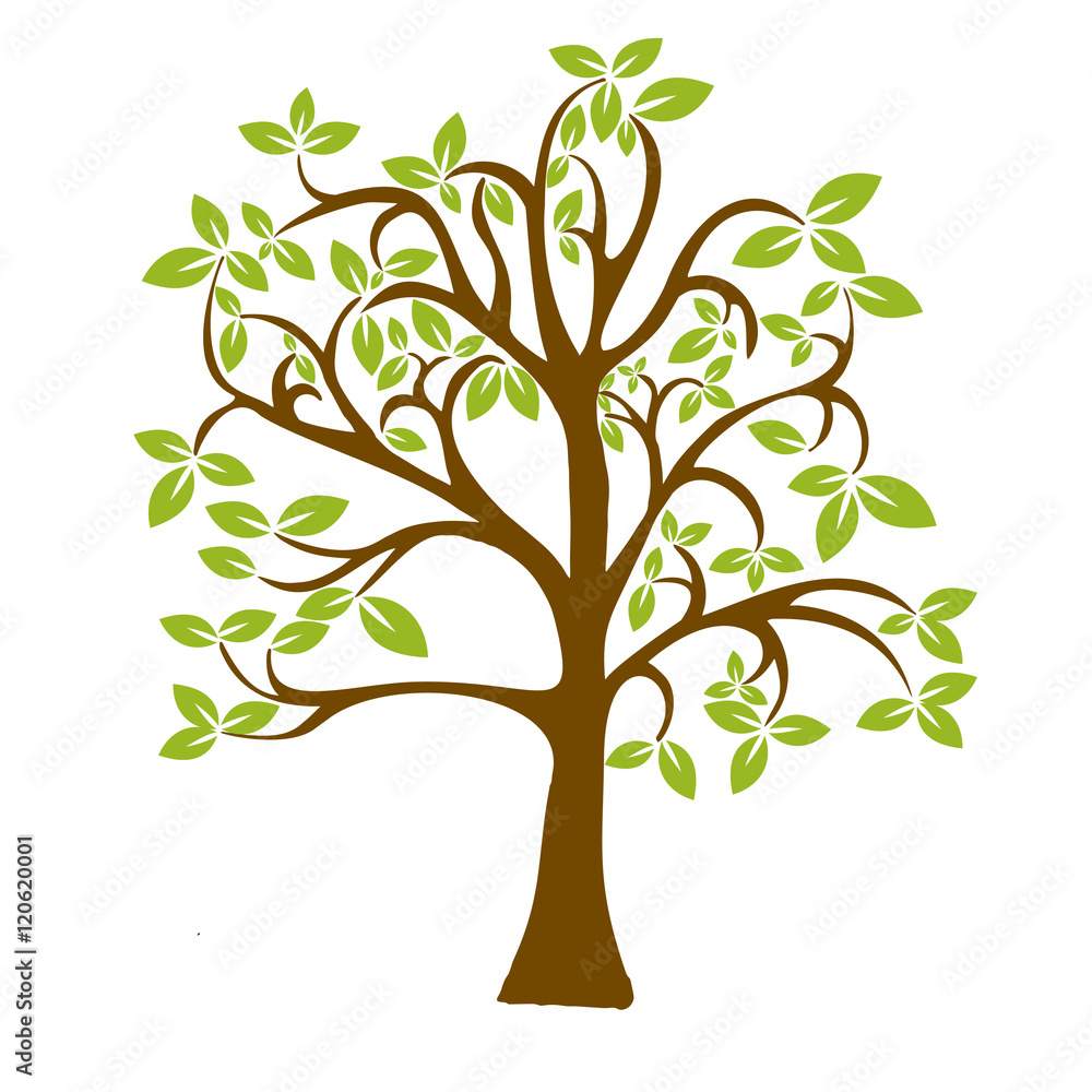 Green tree isolated on white background. Vector illustration. Green tree isolated on white background. Vector illustration.