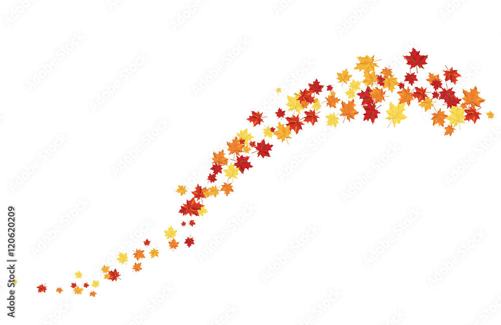 Autumn Autumn