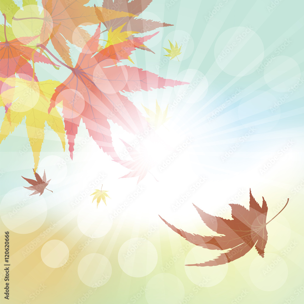 Autumn Frame Autumn Frame