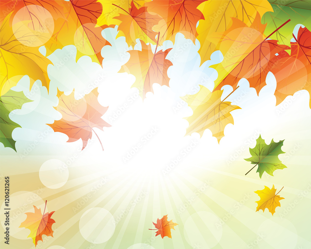 Obraz premium Autumn Frame