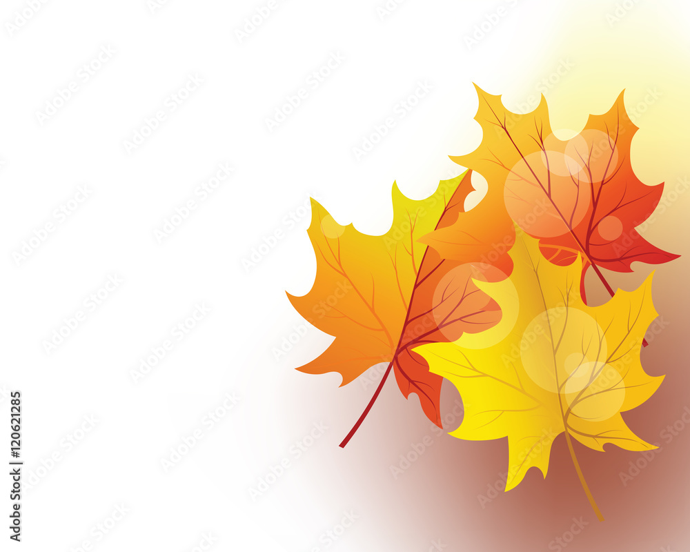 Autumn Frame Autumn Frame