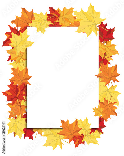 Maple Frame
