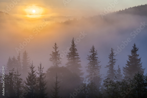 Fog over mountain range in sunrise light.