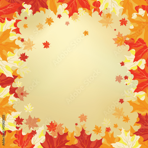 Autumn maple leaves