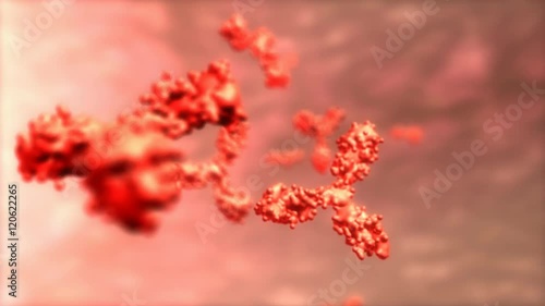Computer generated, T cell of human antibody, microscopic.	 photo