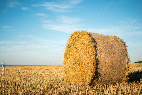Germany: gold yellow bale of straw on a sunny afternoon