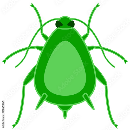 Greenfly insect icon