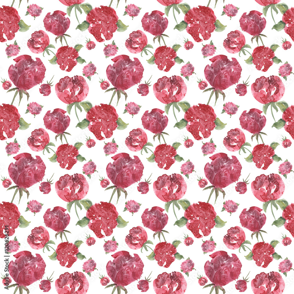 Naklejka premium peony watercolor illustration