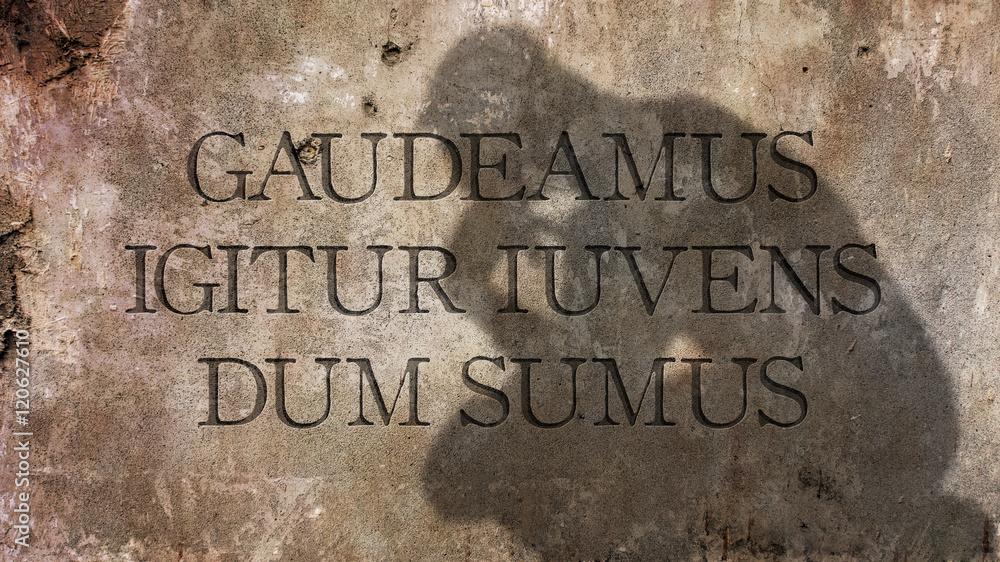 Gaudeamus igitur Iuvenes dum sumus. A Latin phrase meaning Let us rejoice, therefore,
While we are young.