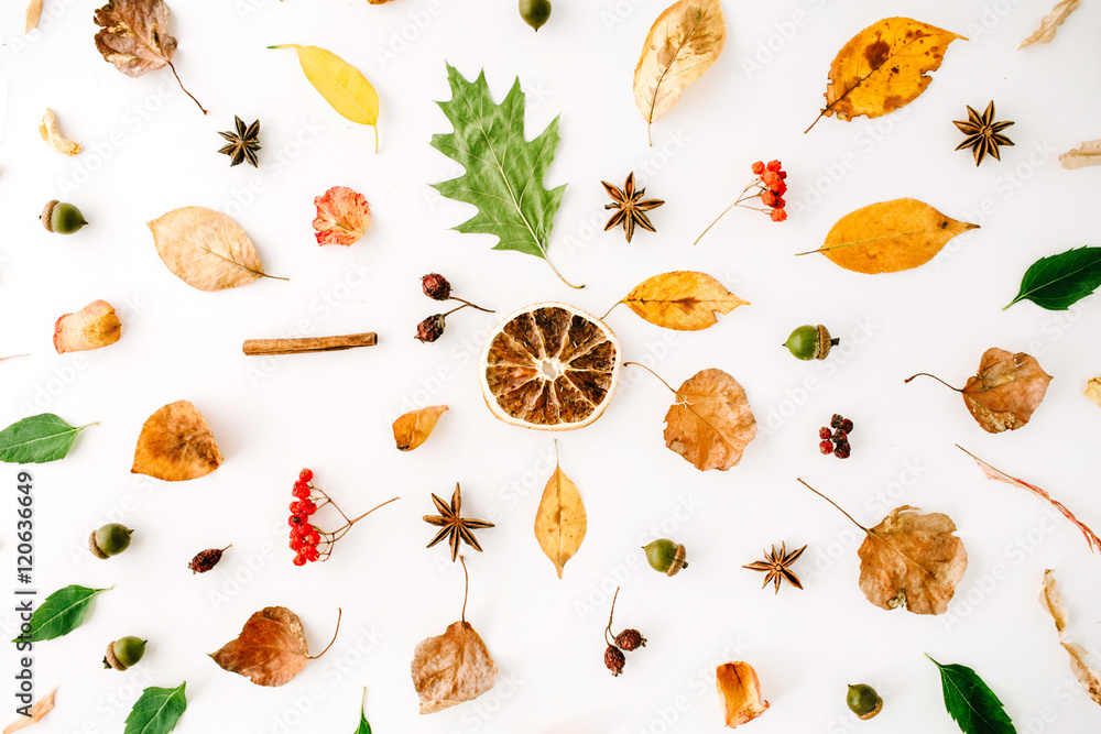 autumn fall flat lay, top view creative pattern arrangement. autumn fall flat lay, top view creative pattern arrangement.
