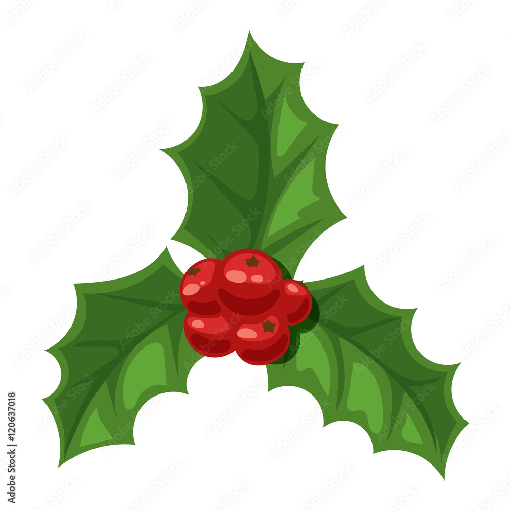 Christmas berry vector illustration. Christmas berry vector illustration.