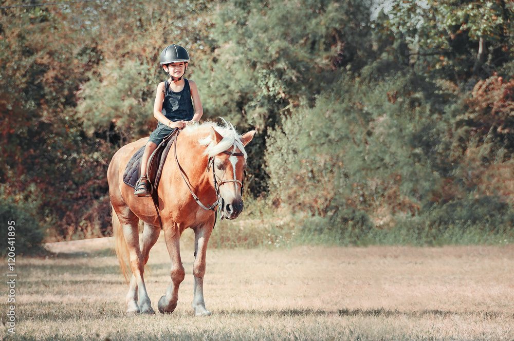 Little boy on the horse. Little boy on the horse.