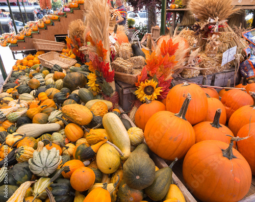 Pumpkins and Squash at Fall Market