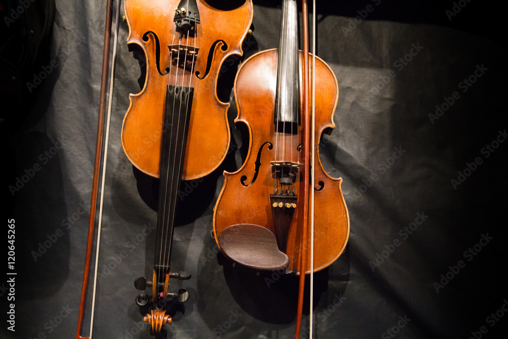 Fototapeta Violin musical instrument on black background