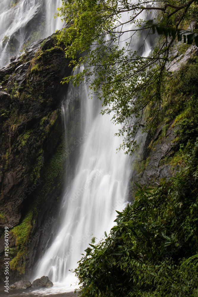 Waterfall near trees.