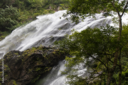 Waterfall near trees.