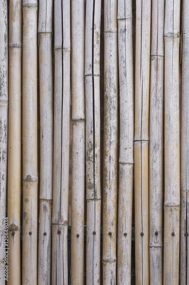 A bamboo texture.
A bamboo texture.