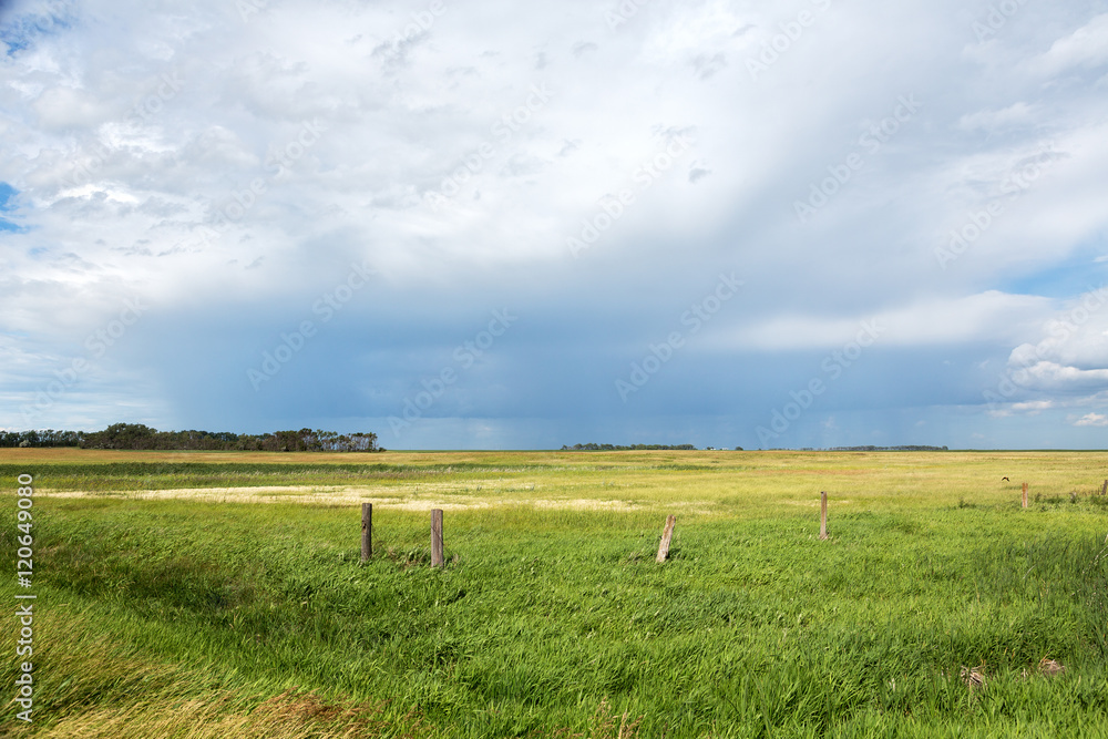 Field in North Dakota on a summer day Field in North Dakota on a summer day