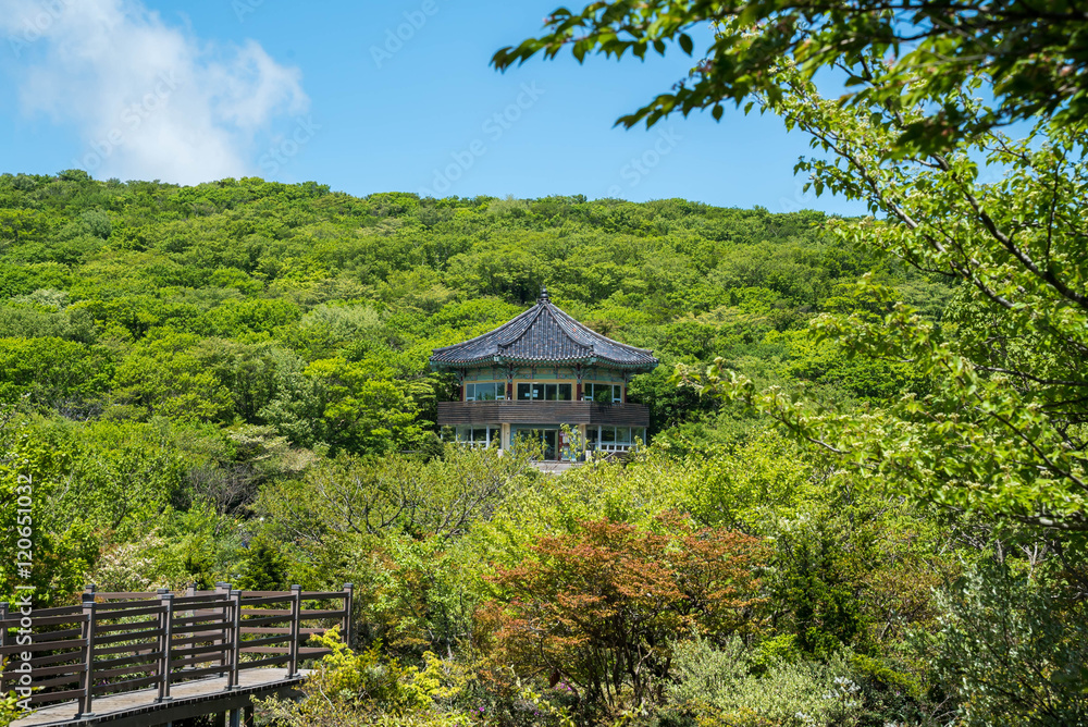 Hallasan Mountain, a heritage National Park at Jeju island Korea