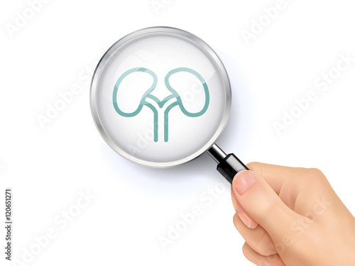 Kidneys icon sign