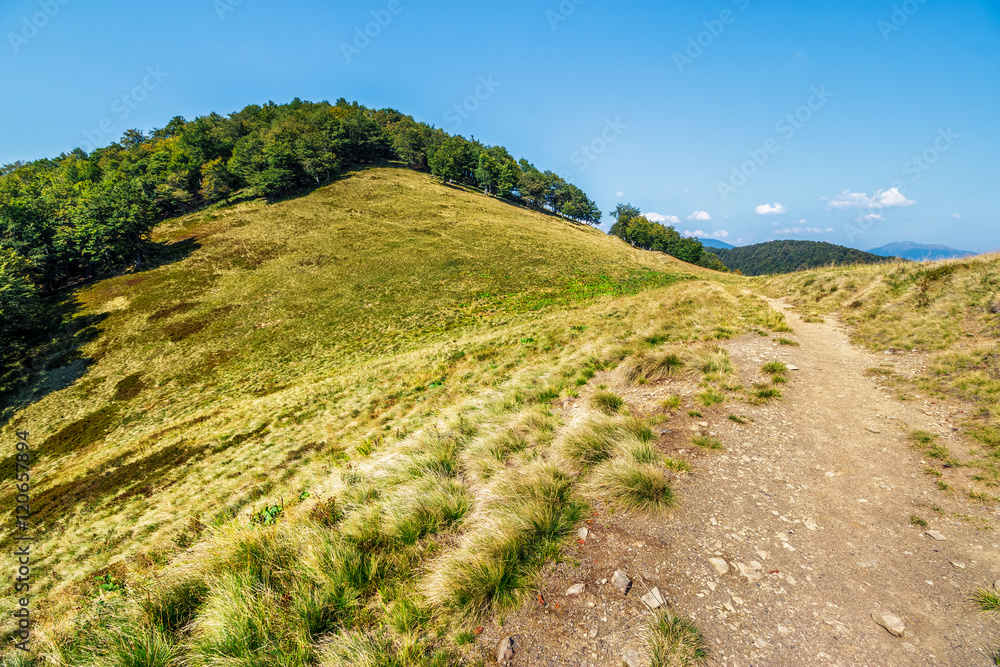 path through mountain landscape