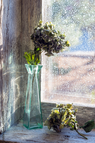 vase with dried flowers photo